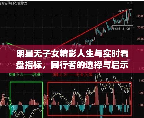 明星无子女精彩人生与实时看盘指标，同行者的选择与启示