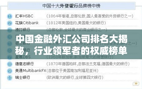 中国金融外汇公司排名大揭秘，行业领军者的权威榜单！
