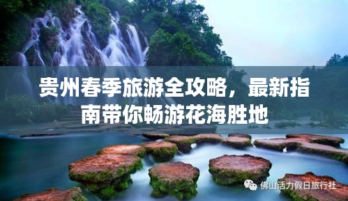 贵州春季旅游全攻略，最新指南带你畅游花海胜地