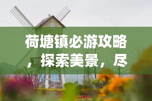 荷塘镇必游攻略，探索美景，尽享惬意度假！