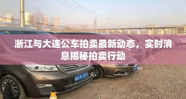 浙江与大连公车拍卖最新动态，实时消息揭秘拍卖行动