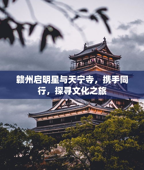 赣州启明星与天宁寺，携手同行，探寻文化之旅