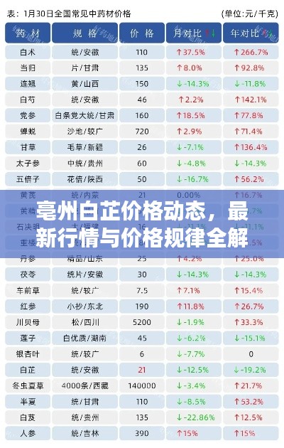 亳州白芷价格动态，最新行情与价格规律全解析
