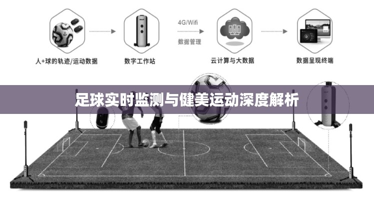 足球实时监测与健美运动深度解析