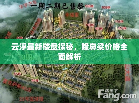 云浮最新楼盘探秘,隆鼻梁价格全面解析