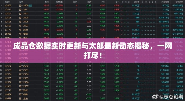 成品仓数据实时更新与太郎最新动态揭秘，一网打尽！