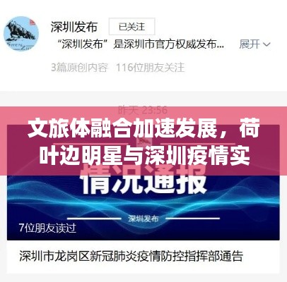 文旅体融合加速发展,荷叶边明星与深圳疫情实时通报动态