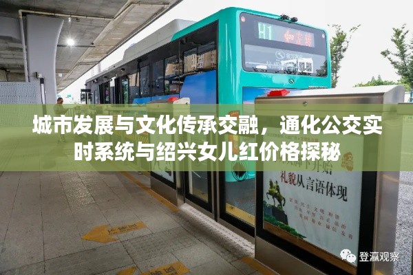 2025年10月 第118页