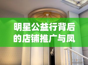 明星公益行背后的店铺推广与凤凰城股市动态解析