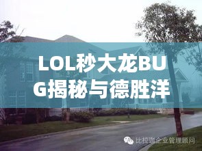 LOL秒大龙BUG揭秘与德胜洋楼木屋价格热议
