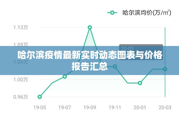 哈尔滨疫情最新实时动态图表与价格报告汇总
