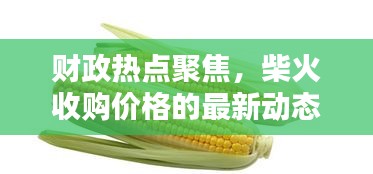 财政热点聚焦,柴火收购价格的最新动态分析