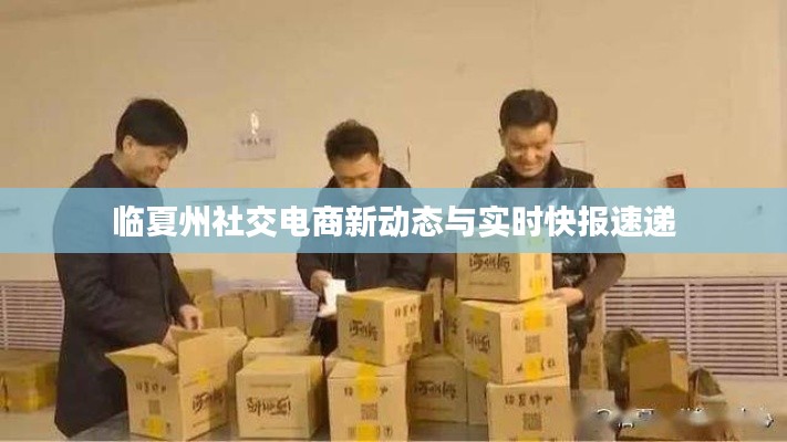 临夏州社交电商新动态与实时快报速递
