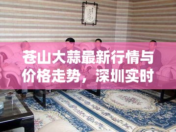 苍山大蒜最新行情与价格走势,深圳实时荧光PCR技术动态解析