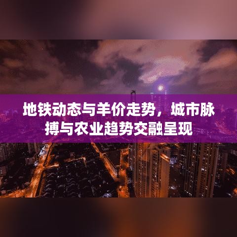 地铁动态与羊价走势,城市脉搏与农业趋势交融呈现