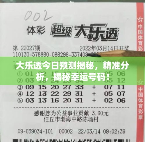 大乐透今日预测揭秘,精准分析,揭秘幸运号码!