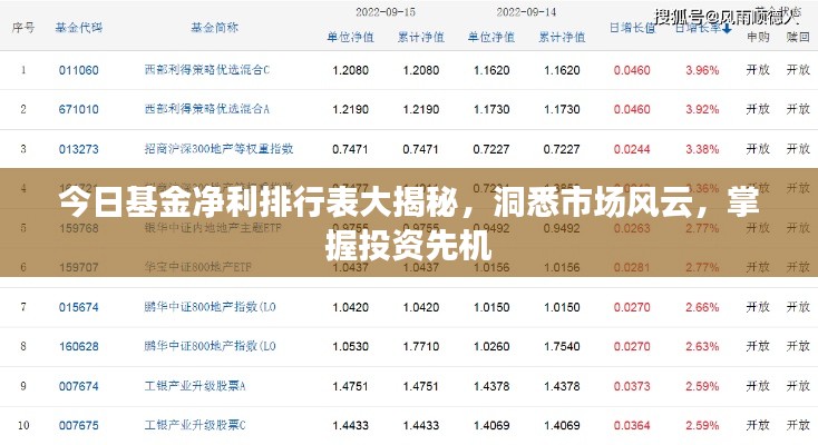 今日基金净利排行表大揭秘,洞悉市场风云,掌握投资先机