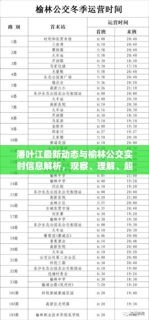 潘叶江最新动态与榆林公交实时信息解析,观察、理解、超越