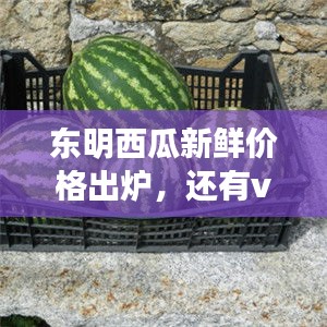 东明西瓜新鲜价格出炉,还有vbexcel实时图像加持哦!