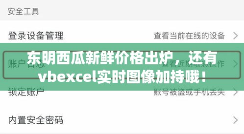 东明西瓜新鲜价格出炉,还有vbexcel实时图像加持哦!