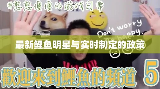 最新鲤鱼明星与实时制定的政策