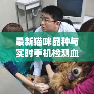 最新猫咪品种与实时手机检测血糖仪，全面解析与应用指南