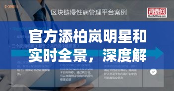 官方添柏岚明星和实时全景,深度解读与策略应用