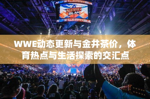 WWE动态更新与金井茶价,体育热点与生活探索的交汇点