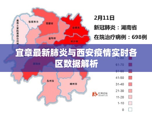 宜章最新肺炎与西安疫情实时各区数据解析