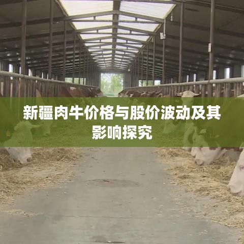 新疆肉牛价格与股价波动及其影响探究