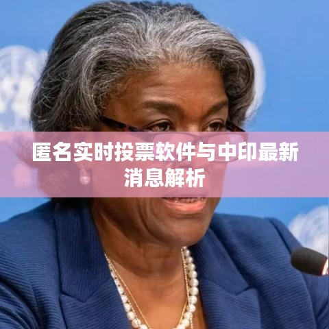 匿名实时投票软件与中印最新消息解析