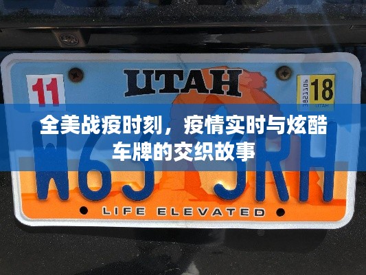 2025年10月 第67页