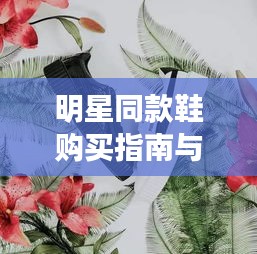 明星同款鞋购买指南与刘招伟最新职务动态揭秘