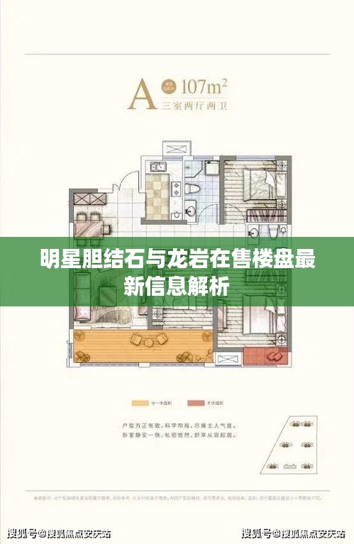 明星胆结石与龙岩在售楼盘最新信息解析