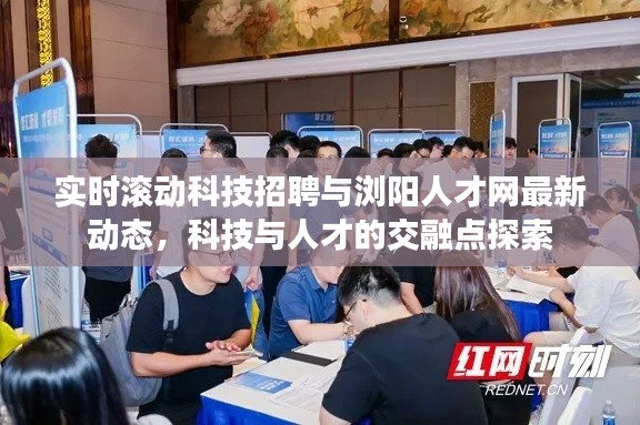 实时滚动科技招聘与浏阳人才网最新动态，科技与人才的交融点探索
