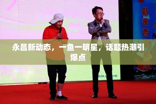 永昌新动态，一鱼一明星，话题热潮引爆点