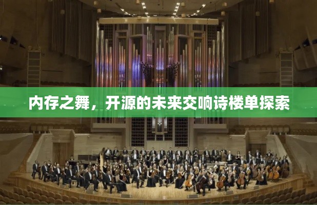 内存之舞,开源的未来交响诗楼单探索