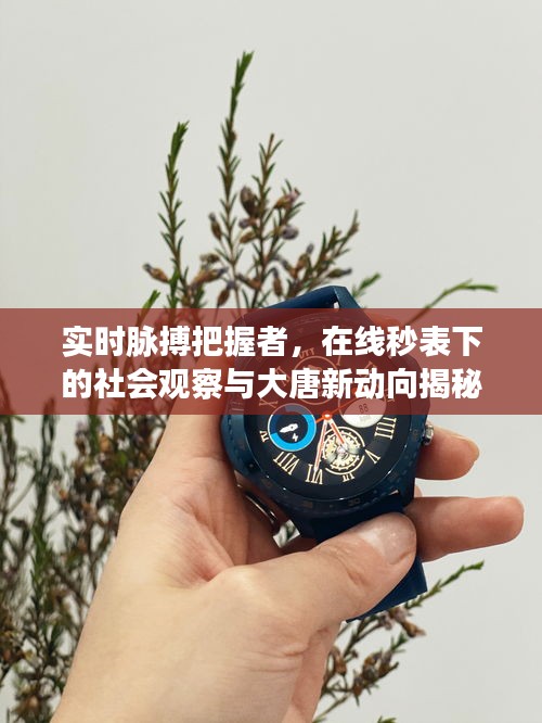 实时脉搏把握者,在线秒表下的社会观察与大唐新动向揭秘