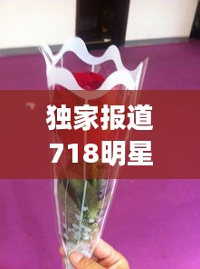独家报道718明星粉丝节盛况与凭祥互市最新动态一网打尽,不容错过!