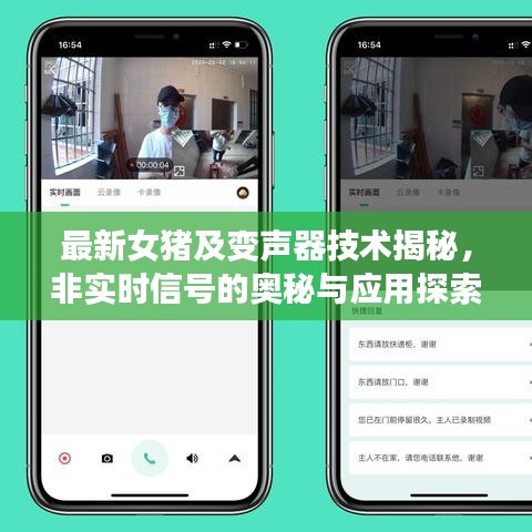 最新女猪及变声器技术揭秘,非实时信号的奥秘与应用探索