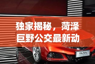 独家揭秘,菏泽巨野公交最新动态及黄宁倩资讯一网打尽!