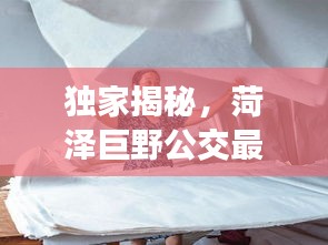 独家揭秘,菏泽巨野公交最新动态及黄宁倩资讯一网打尽!