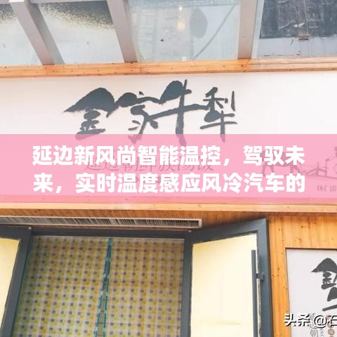 延边新风尚智能温控，驾驭未来，实时温度感应风冷汽车的探索之旅