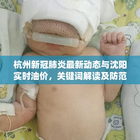 杭州新冠肺炎最新动态与沈阳实时油价，关键词解读及防范虚假宣传指导