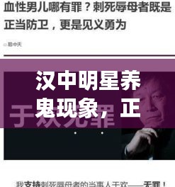 汉中明星养鬼现象,正反观点探析最新发布
