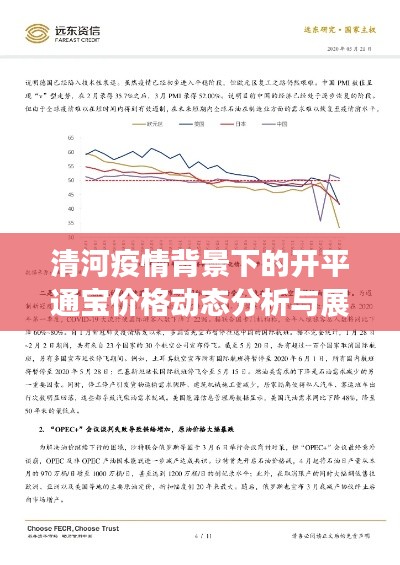 清河疫情背景下的开平通宝价格动态分析与展望,学术视角的综述研究