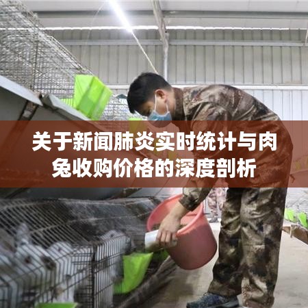 关于新闻肺炎实时统计与肉兔收购价格的深度剖析