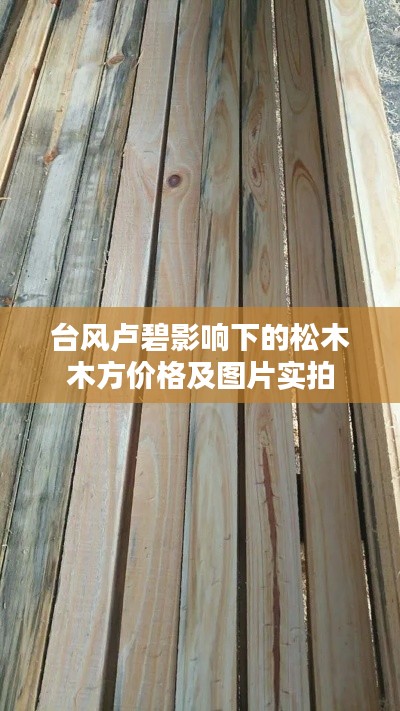 台风卢碧影响下的松木木方价格及图片实拍