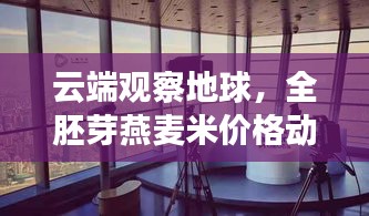 云端观察地球,全胚芽燕麦米价格动态实时追踪