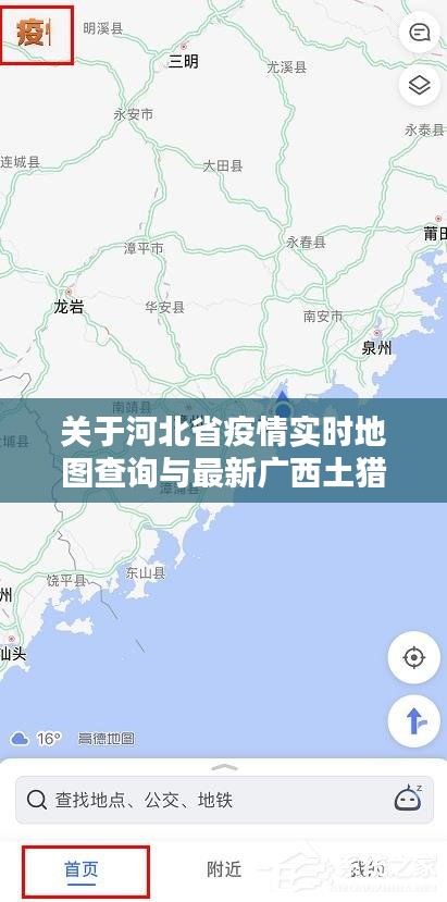关于河北省疫情实时地图查询与最新广西土猎犬出售的探讨